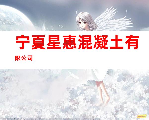 宁夏星惠混凝土有限公司